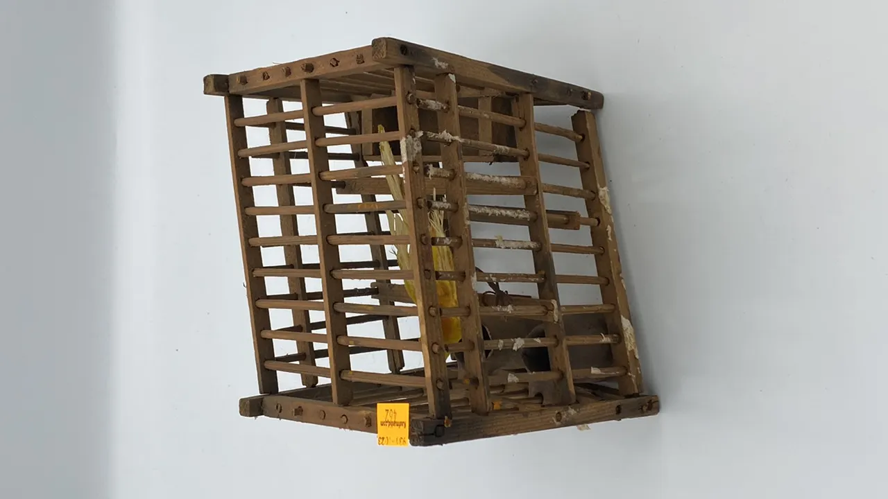 Wooden Coal Miners Canary Cage w/ Canary