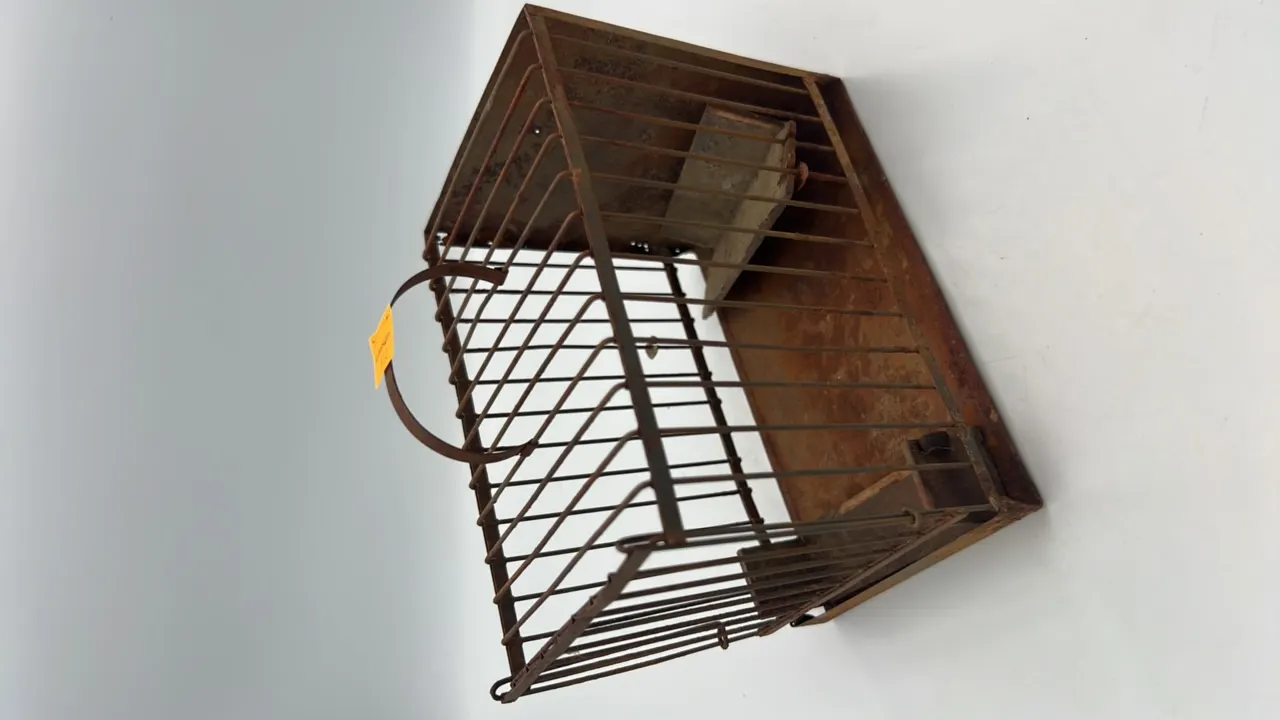Metal Coal Miners Canary Cage