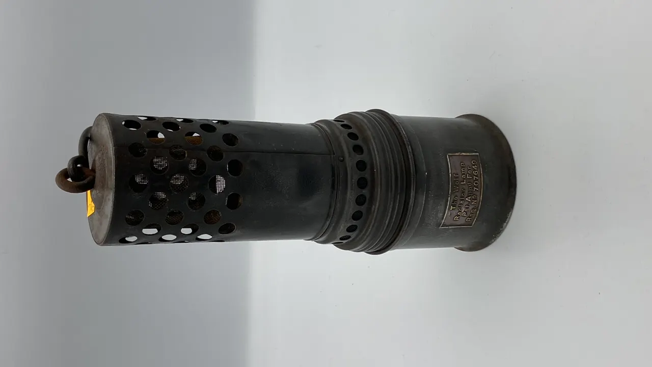 The Wolf Radiator Lamp