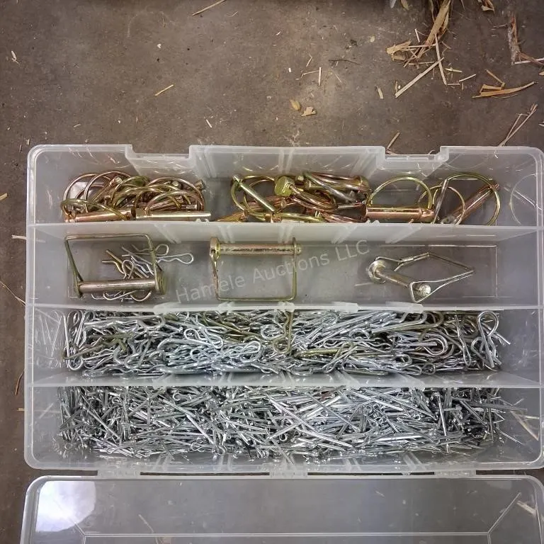 Organizer with contents