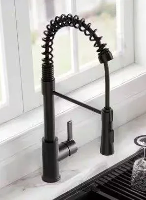 Black Spring Neck Kitchen Faucet