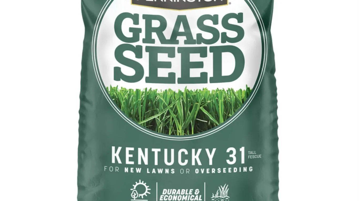 Pennington Kentucky 31 Tall Fescue Grass Seed 40lb