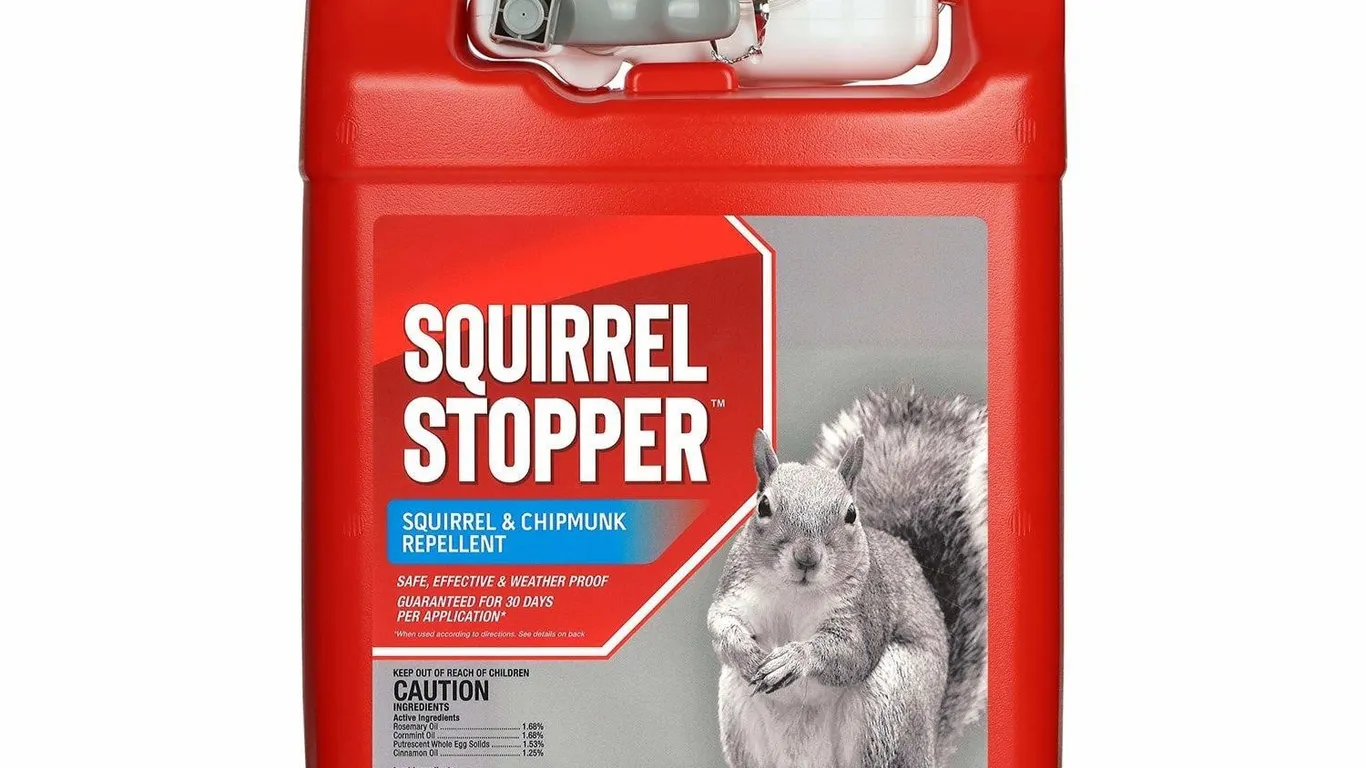 Messinas Squirrel Stopper Repellent 1 Gallon