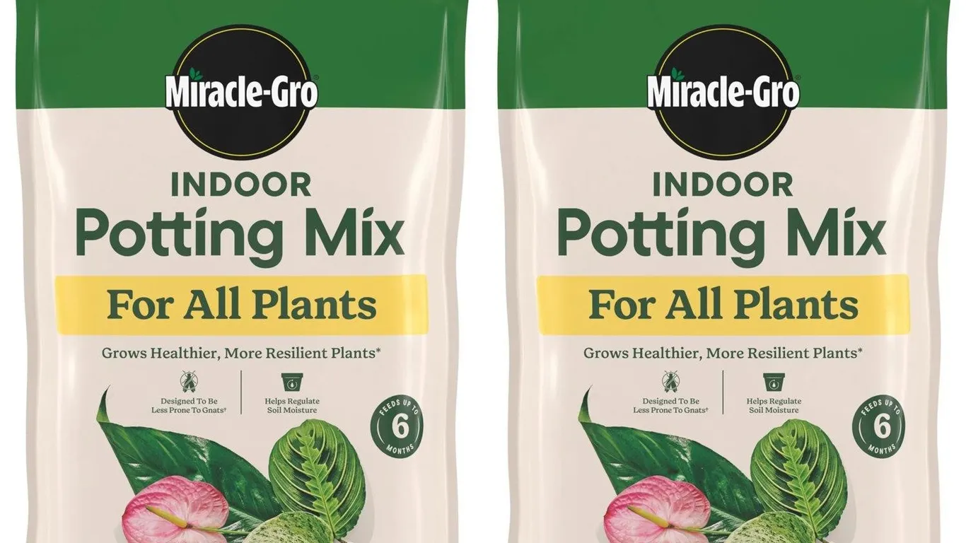 Miracle-Gro Indoor Potting Mix 6qt 2-Pack