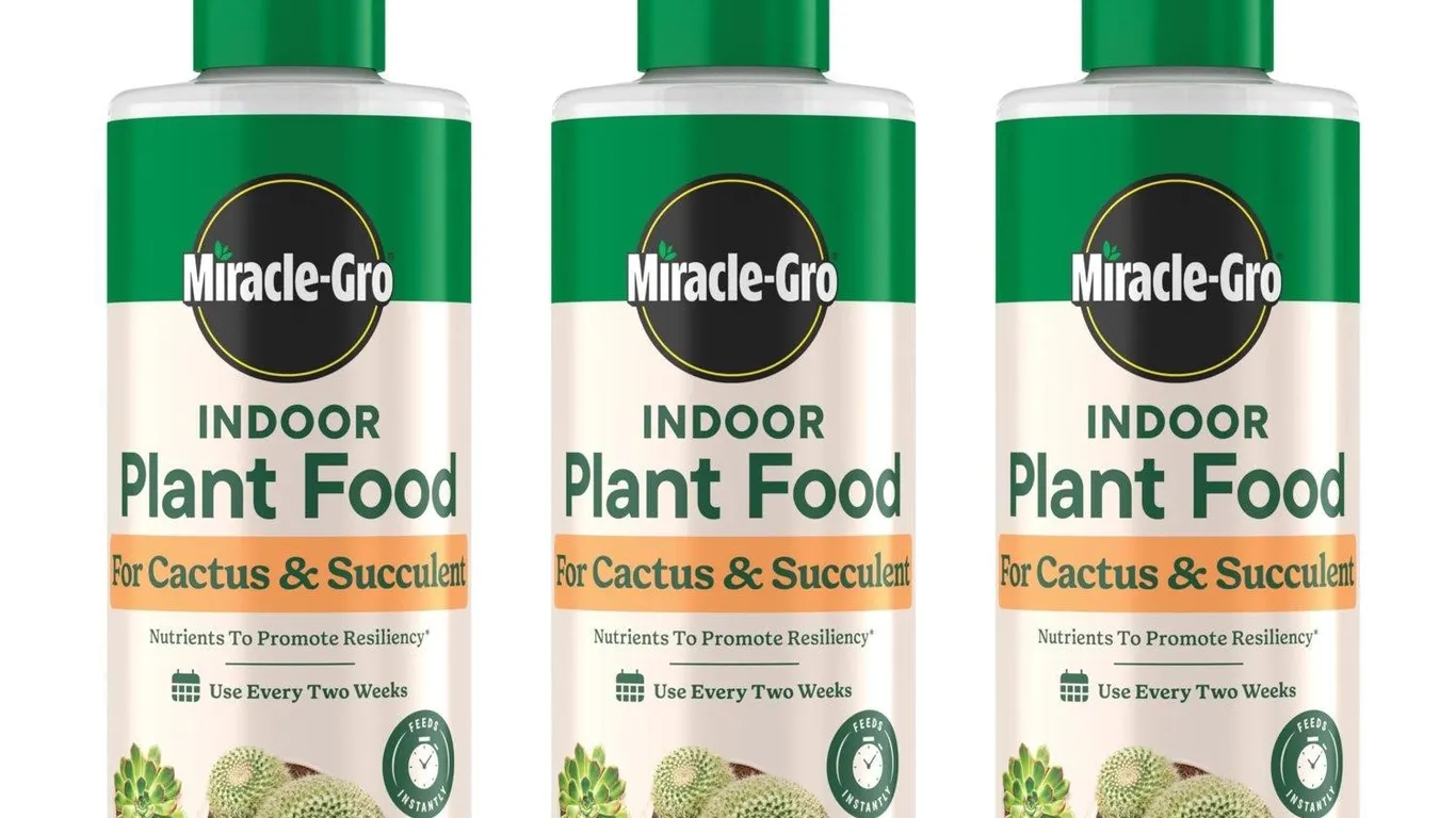Miracle-Gro Cactus Succulent Plant Food 3pk