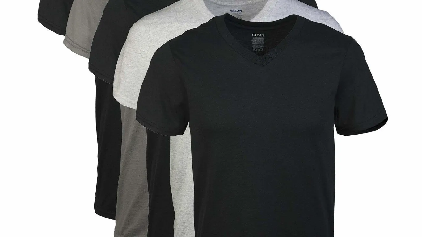 Gildan V-Neck T-Shirts Small 5-Pack