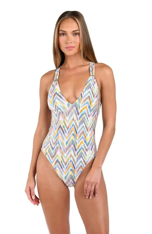 Sunshine 79 Plunge One Piece Swimsuit Multi...