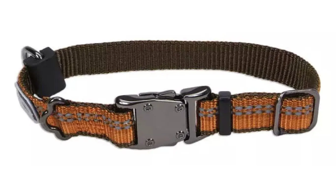 Coastal K9 Explorer Dog Collar 1 x 1826