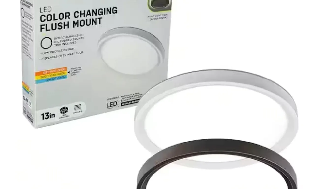 Selzalot 13 LED Flush Mount Ceiling Light