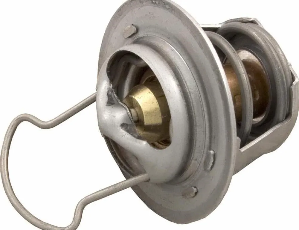 Pentair MasterTemp Thermal Regulator