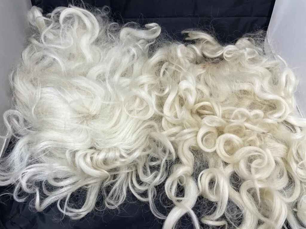 Santa Wig & Beard