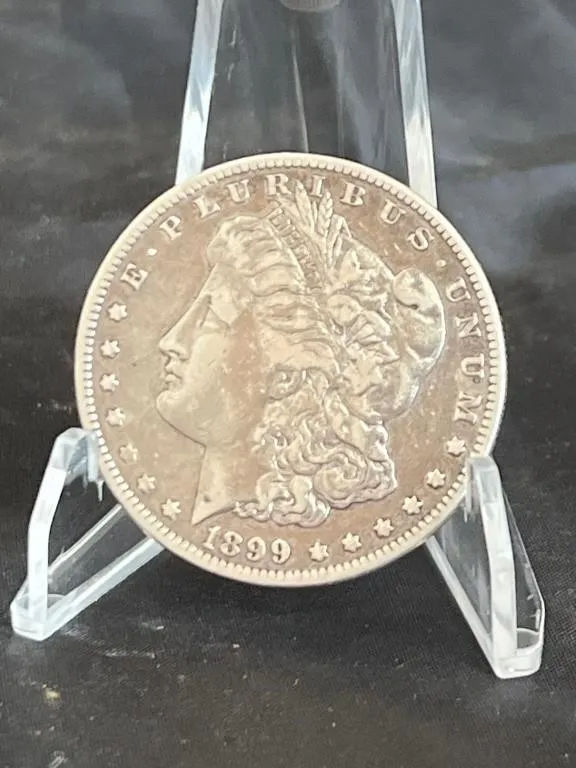 1899 Morgan Dollar
