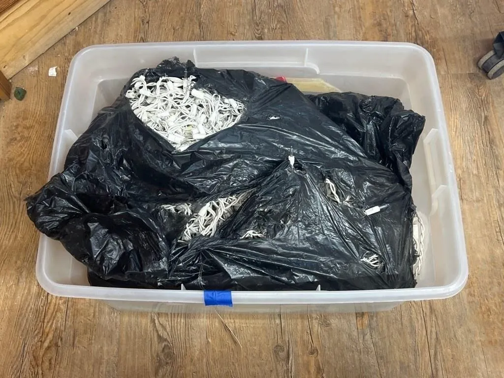 Assorted String Lights in Plastic Bin