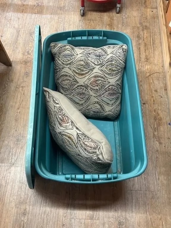 2 Throw Pillows & Sterlite Tote w/Lid
