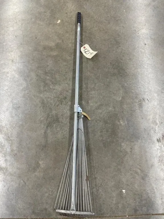 Shag Carpet Rake