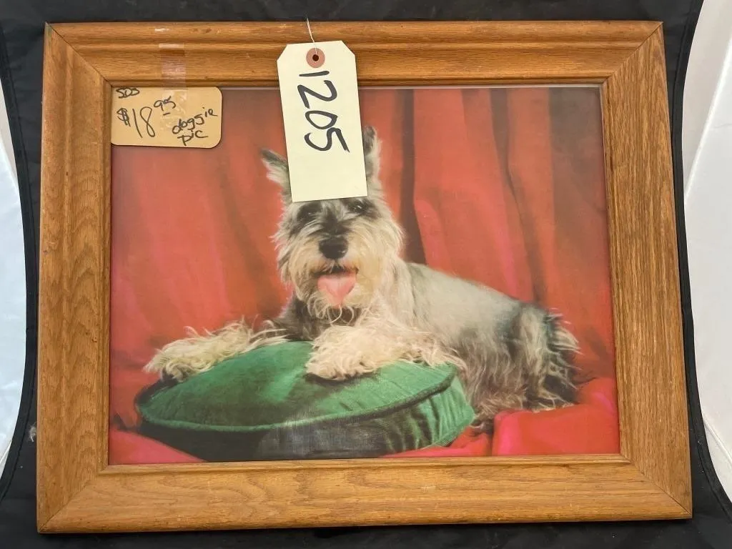 Holographic Schnauzer Pic 19"x15"