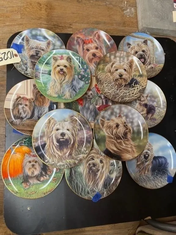 13 Pcs - Yorkshire Terrier Decorative Plates