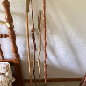 Group of carved wooden walking canes