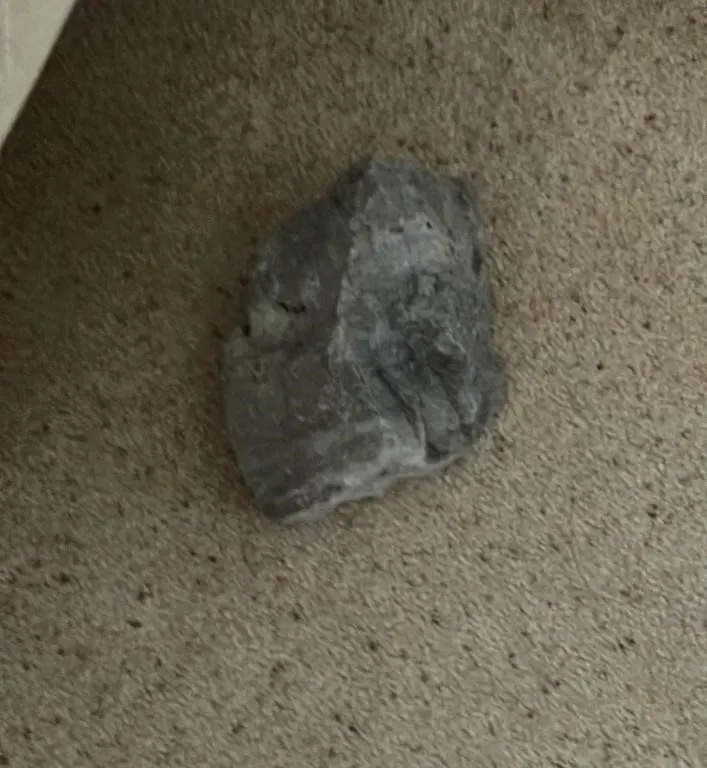 Rugged Gray Rock Fragment