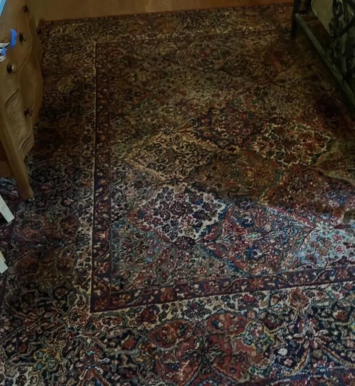 Intricate Traditional Persian-Style Rug, 12x9