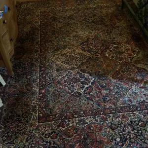 Intricate Traditional Persian-Style Rug, 12x9