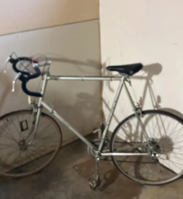 Vintage Fuji Royale Silver Road Bicycle
