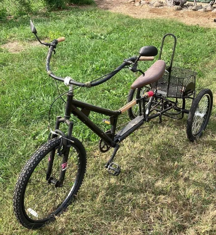 Black Three-Wheeled Adult Tricycle