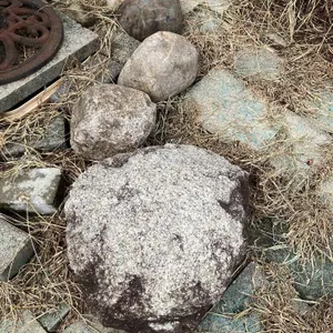 Natural Granite Fieldstone Rock