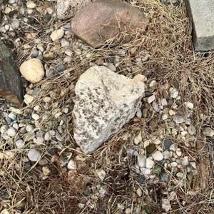 Natural Stone Assortment