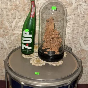 Blue and Gold Snare Drum, 7UP Bottle, and Carved Wood Sculpture Under Glass Dome