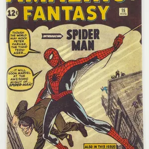 Amazing Fantasy #15 Reprint Cover w/ Blank Interiors
