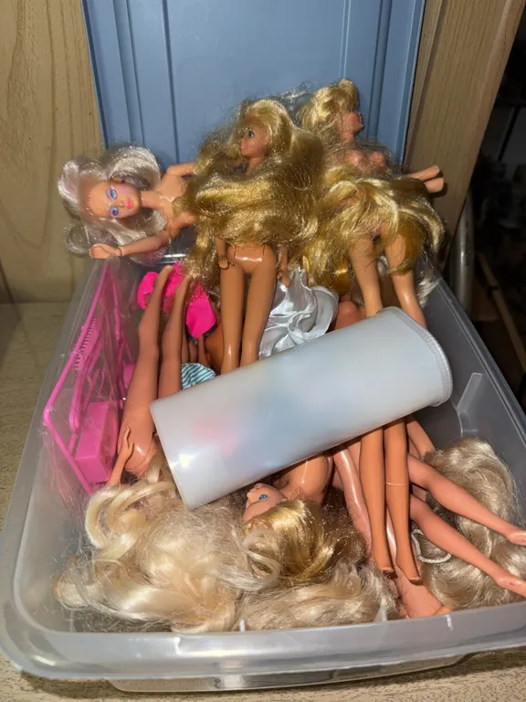 Vintage Barbie & Fashion Doll Collection with Accessories