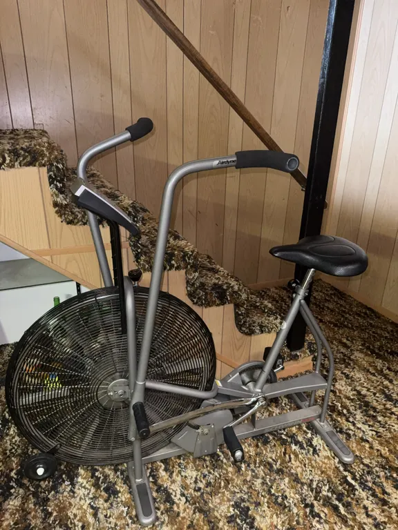 Schwinn Airdyne Stationary Exercise Bike