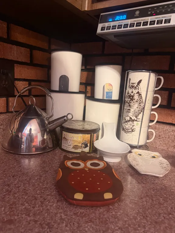 Kitchen Canisters, Stainless Steel Tea Kettle & Owl Décor