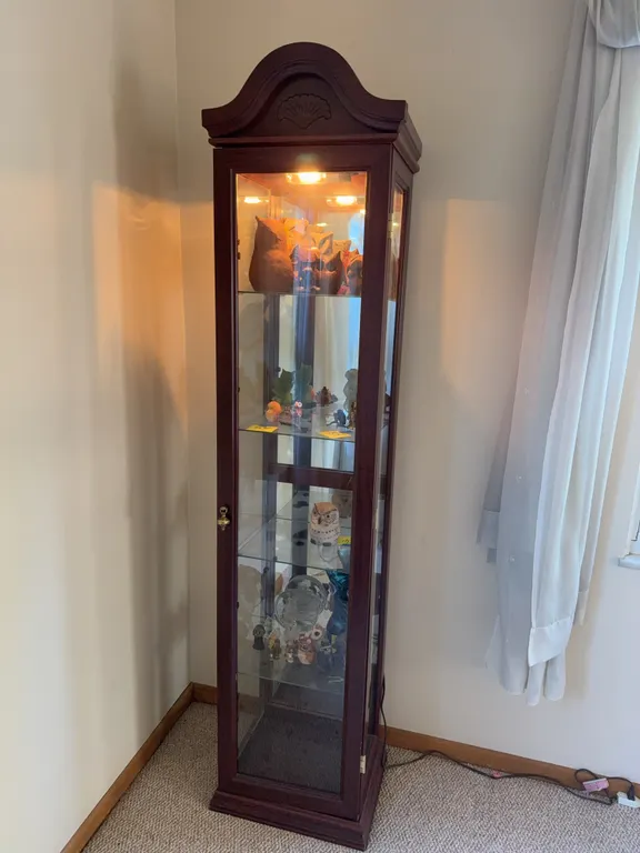 Lighted Wood Curio Display Cabinet with Glass Shelves