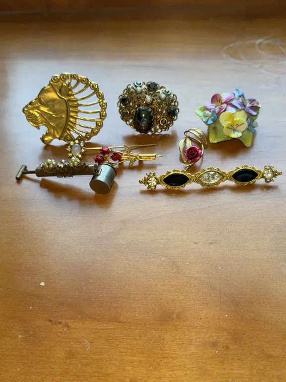 Vintage Costume Jewelry Brooch & Pin Collection