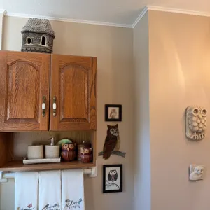 Owl-Themed Bathroom Décor & Accessories