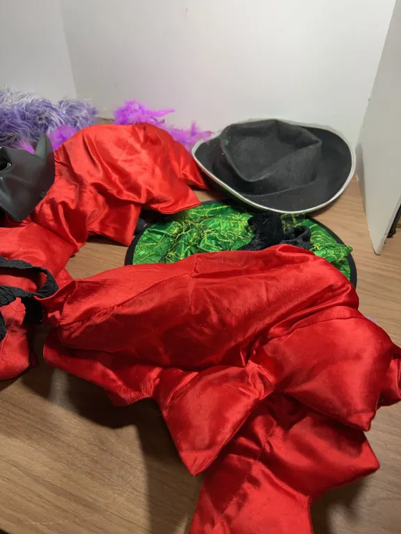 Lot Adult Costume Accessories and Hats Assorted