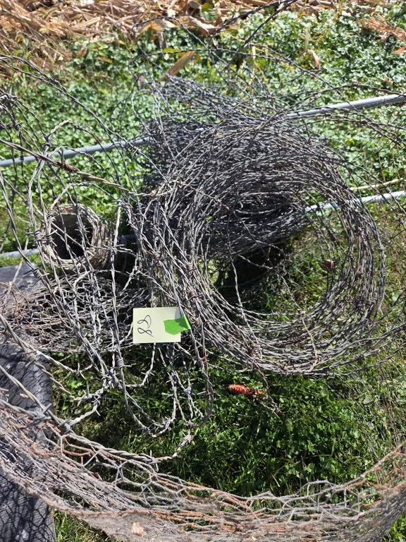 Pile of barbed wire