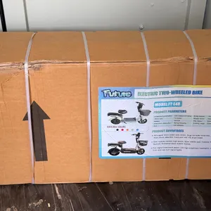 Electric bicycle