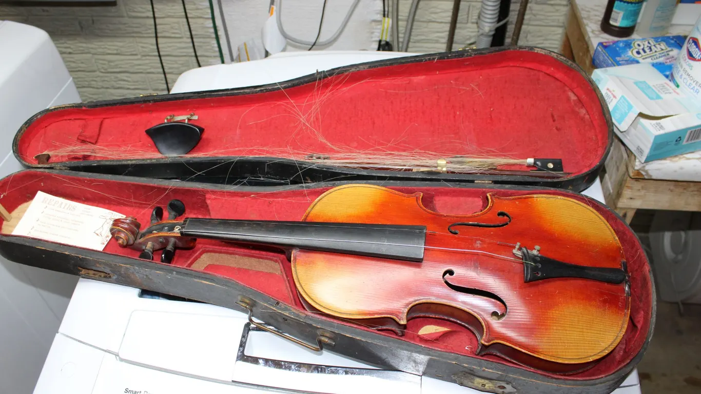 Violin & Case
