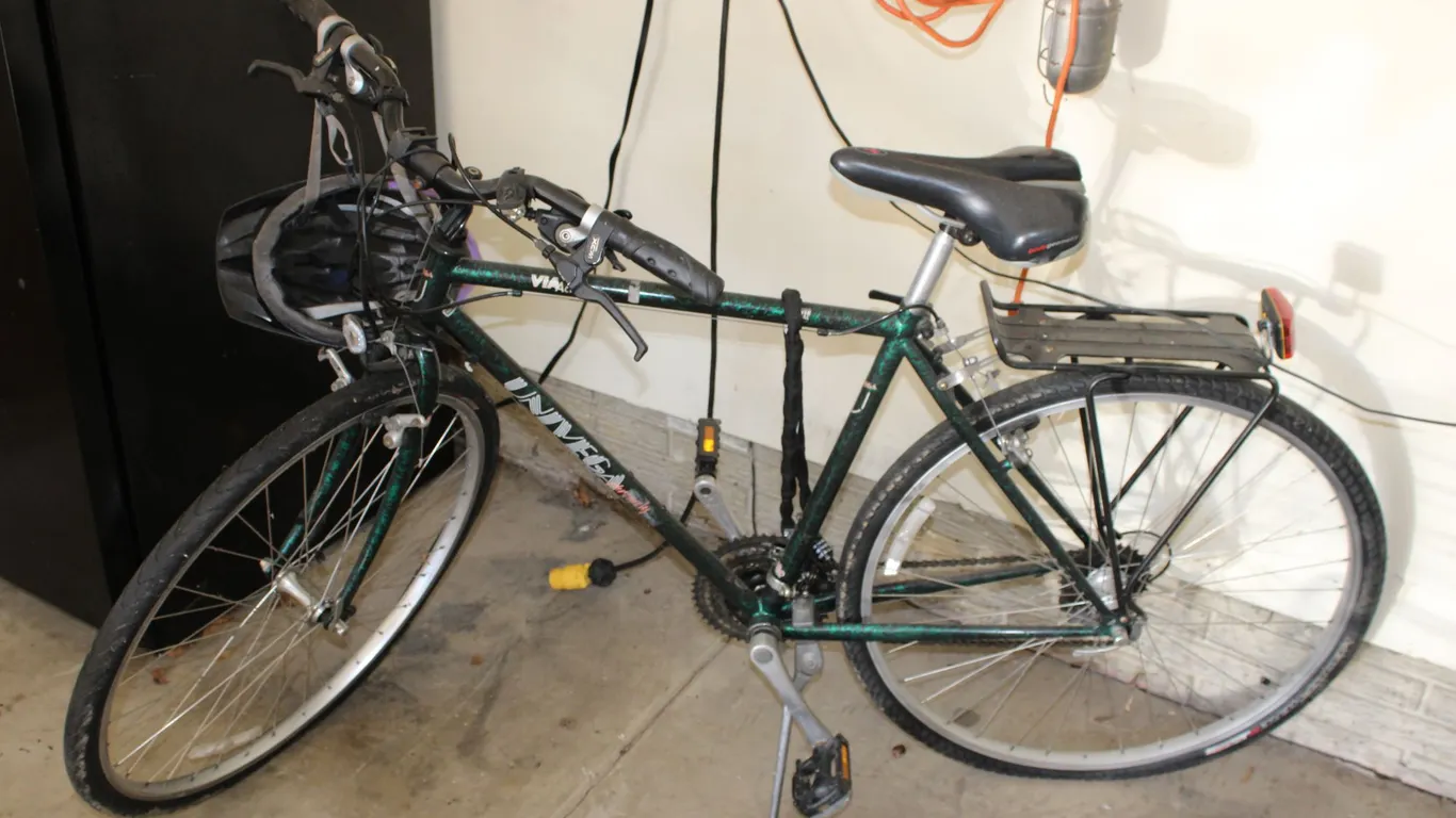 Univega Via Carisma Bicycle