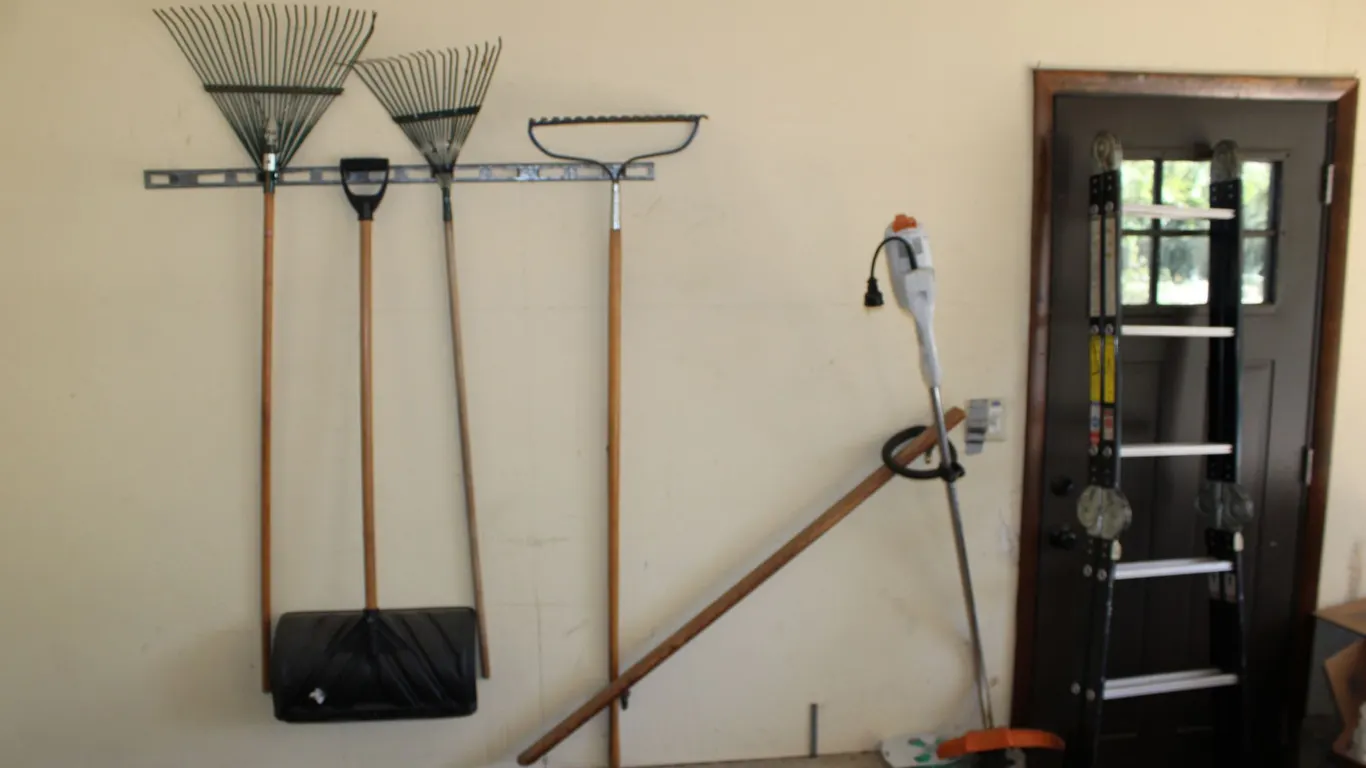 Garden Tools & Ladder
