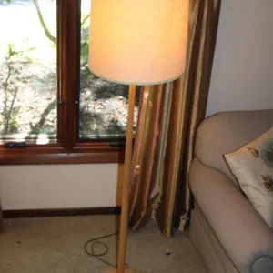 MCM Floor Lamp