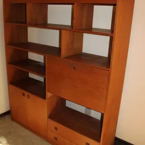 Mid-Century Wall Unit