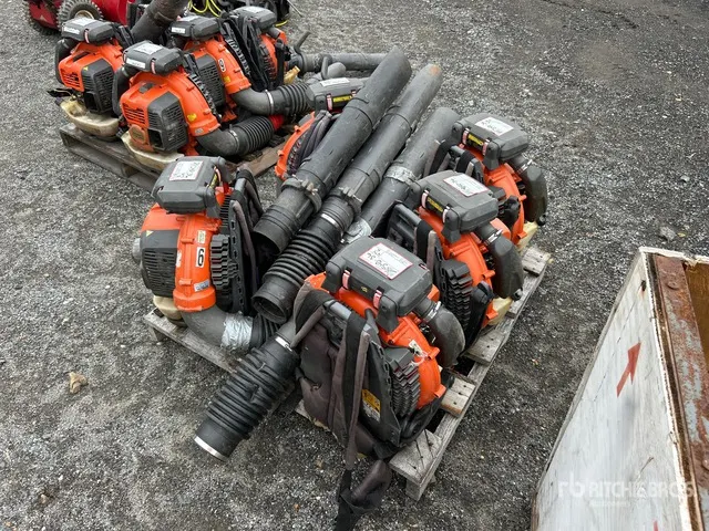 Quantity of (5) Leaf Blower
