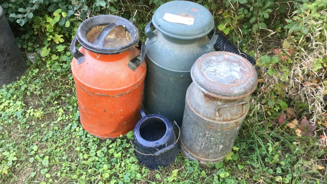 (3) Large Milk Cans