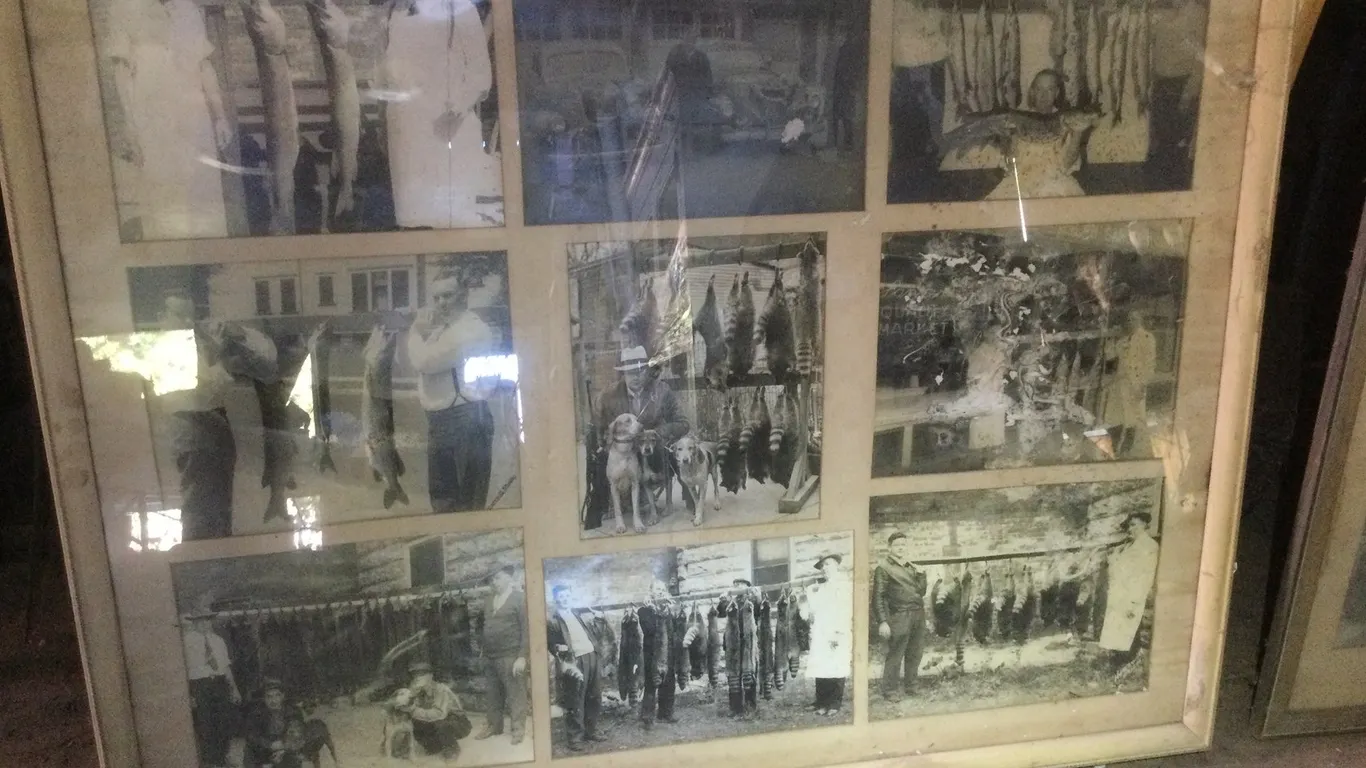 (2) Large Frames