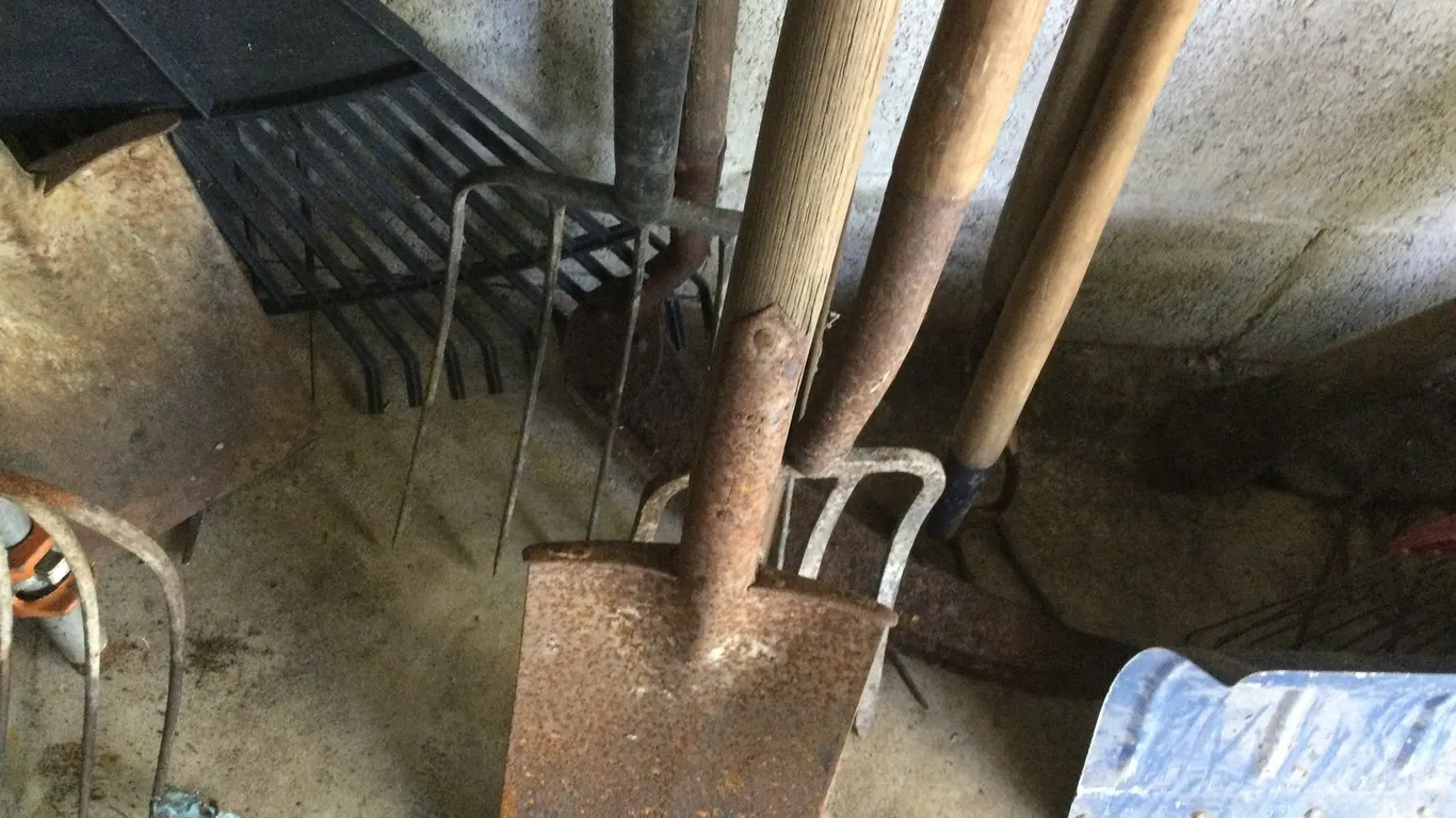 Spade, (2) Forks