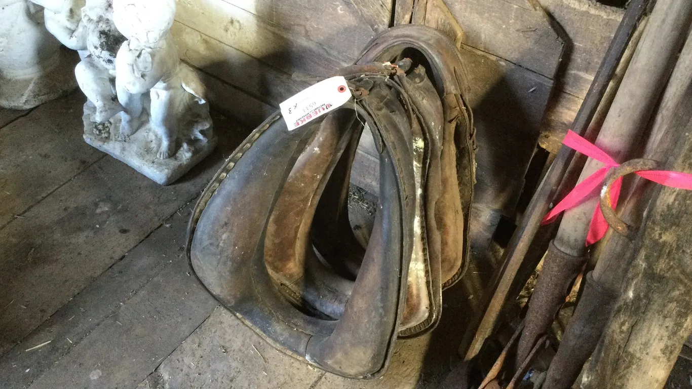 Horse Collar